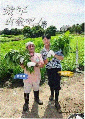 神马影院在线免费观看 向往的生活 综艺